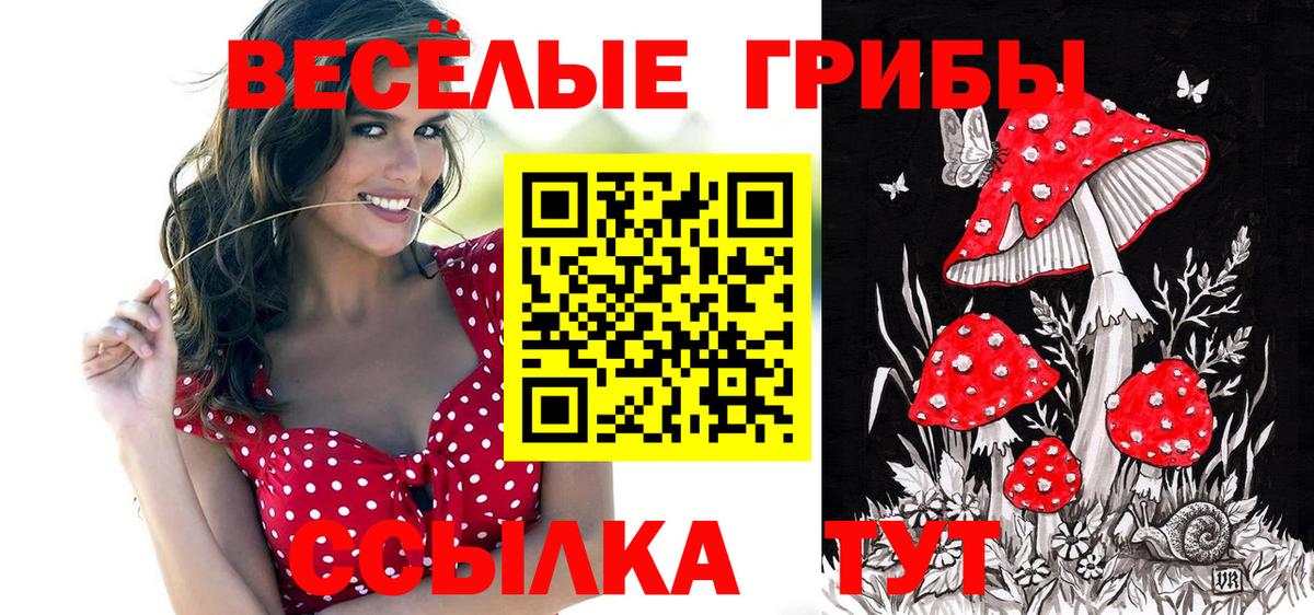 Псилоцибиновые грибы Cubensis  Вход с VPN  Кировск 