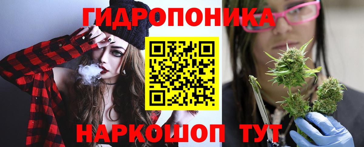 Канабис Ganja  Марихуана OG Kush  МАРИХУАНА планчик  Кировск  Вход с VPN  Канабис ГИДРОПОН 