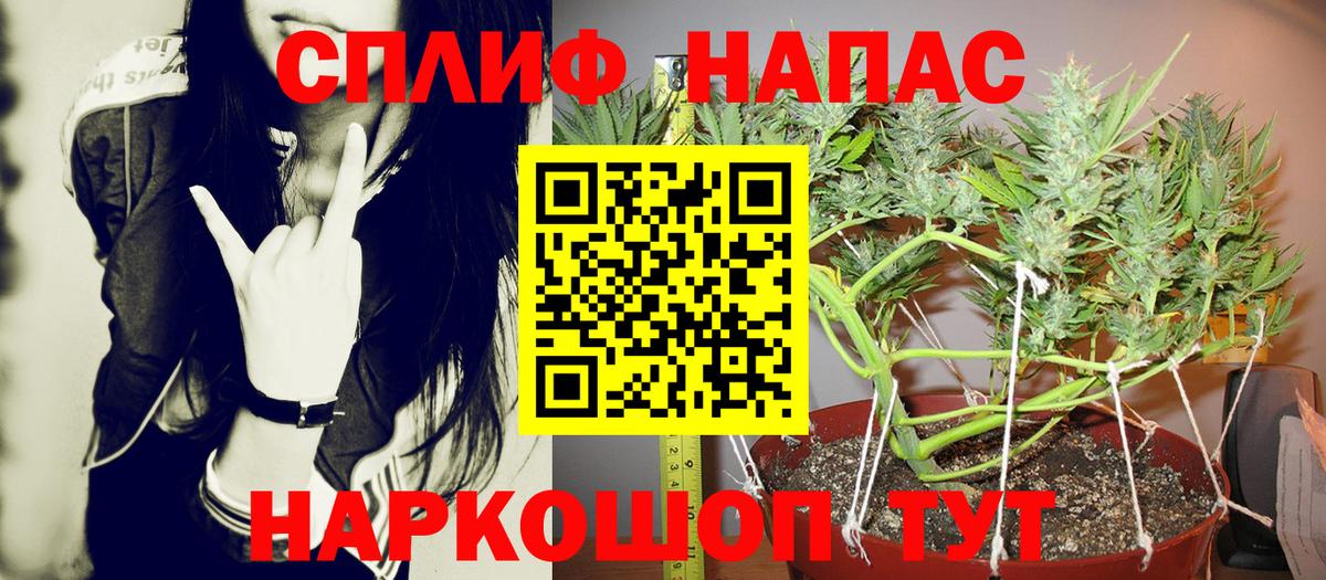 Шишки марихуана Amnesia Кировск